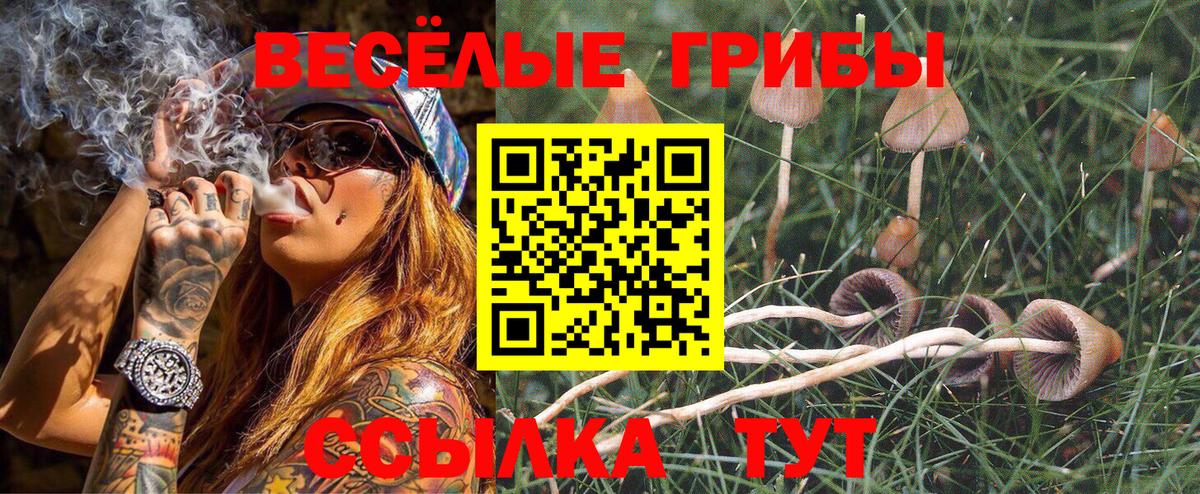 Псилоцибиновые грибы мицелий  Вход с VPN  где продают наркотики  Бийск 